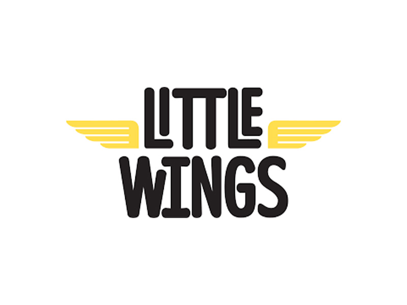 little wings